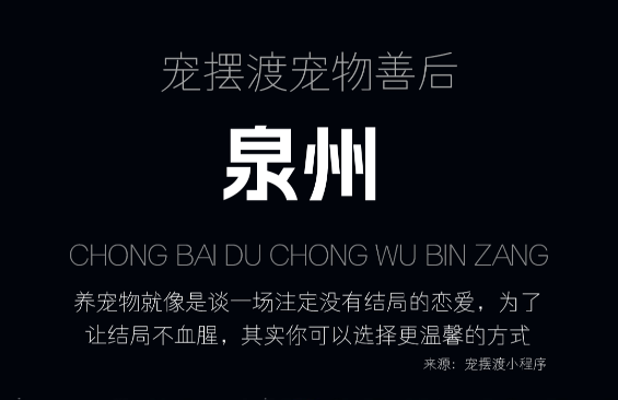 泉州宠物殡葬火化服务：宠摆渡的温馨告别