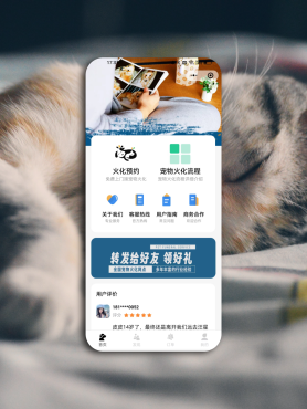 最后能为它做的事：关于面对宠物离世，你需要知道的