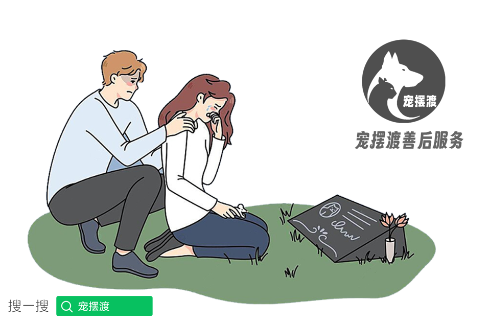 宠摆渡：创新驱动下的宠物殡葬服务领导者